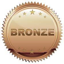 Bronze (10 Set, 600 Question)